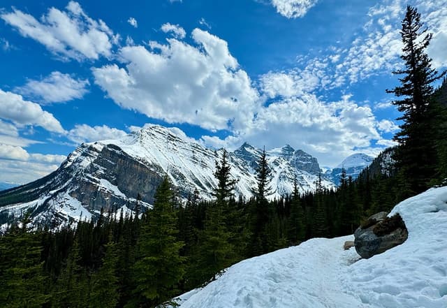 picture of snowy mountain trail